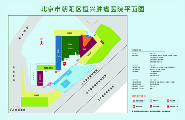 色色色我操我北京市朝阳区桓兴肿瘤医院平面图